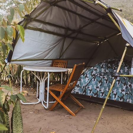 Camping Filhos Da Floresta - Vale Do Capao Luaran gambar