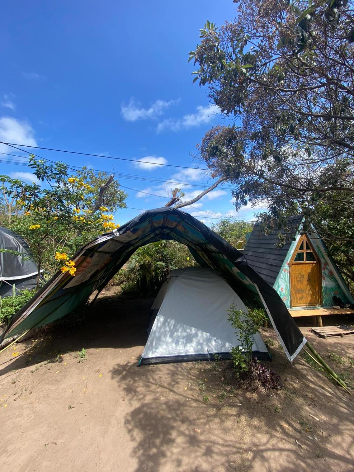 Camping Filhos Da Floresta - Vale Do Capao Luaran gambar