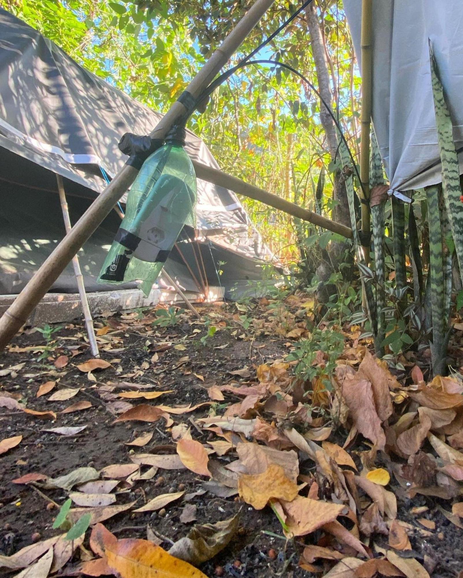 Camping Filhos Da Floresta - Vale Do Capao Luaran gambar